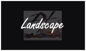 Landscape Homepage Link